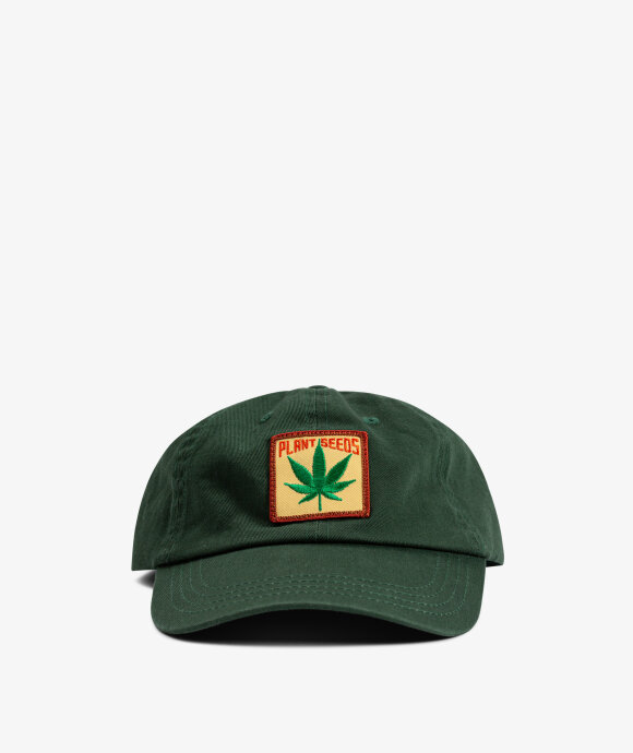 IDEA - Plant Seeds Cap