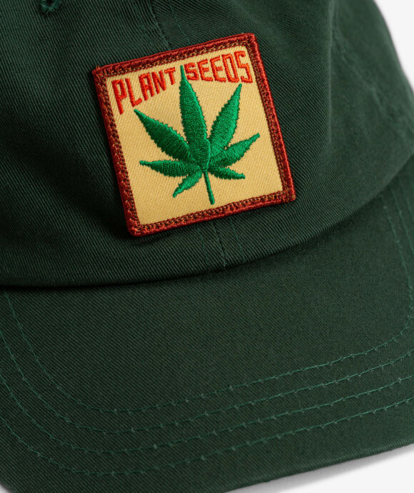 IDEA - Plant Seeds Cap