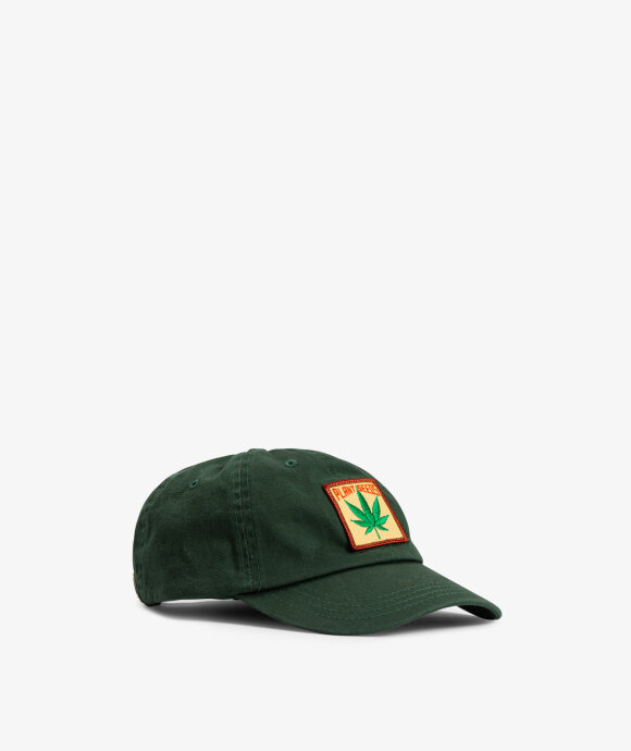 IDEA - Plant Seeds Cap