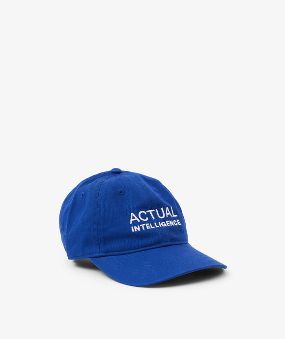 IDEA - Actual Intelligence Hat