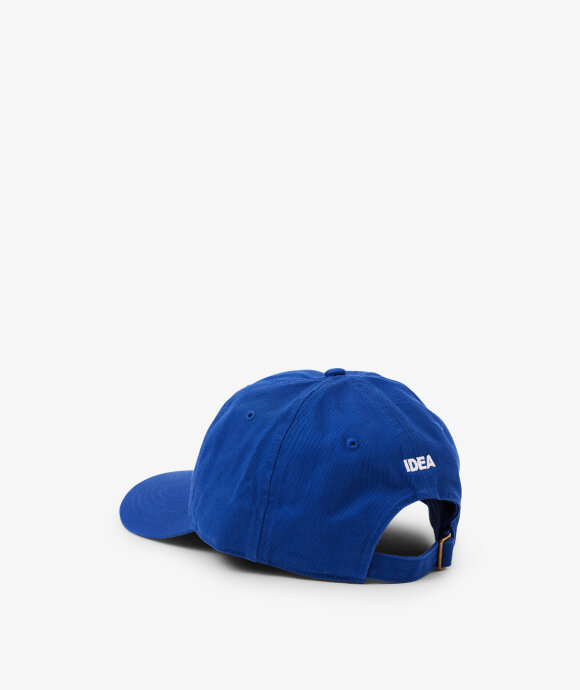 IDEA - Actual Intelligence Hat
