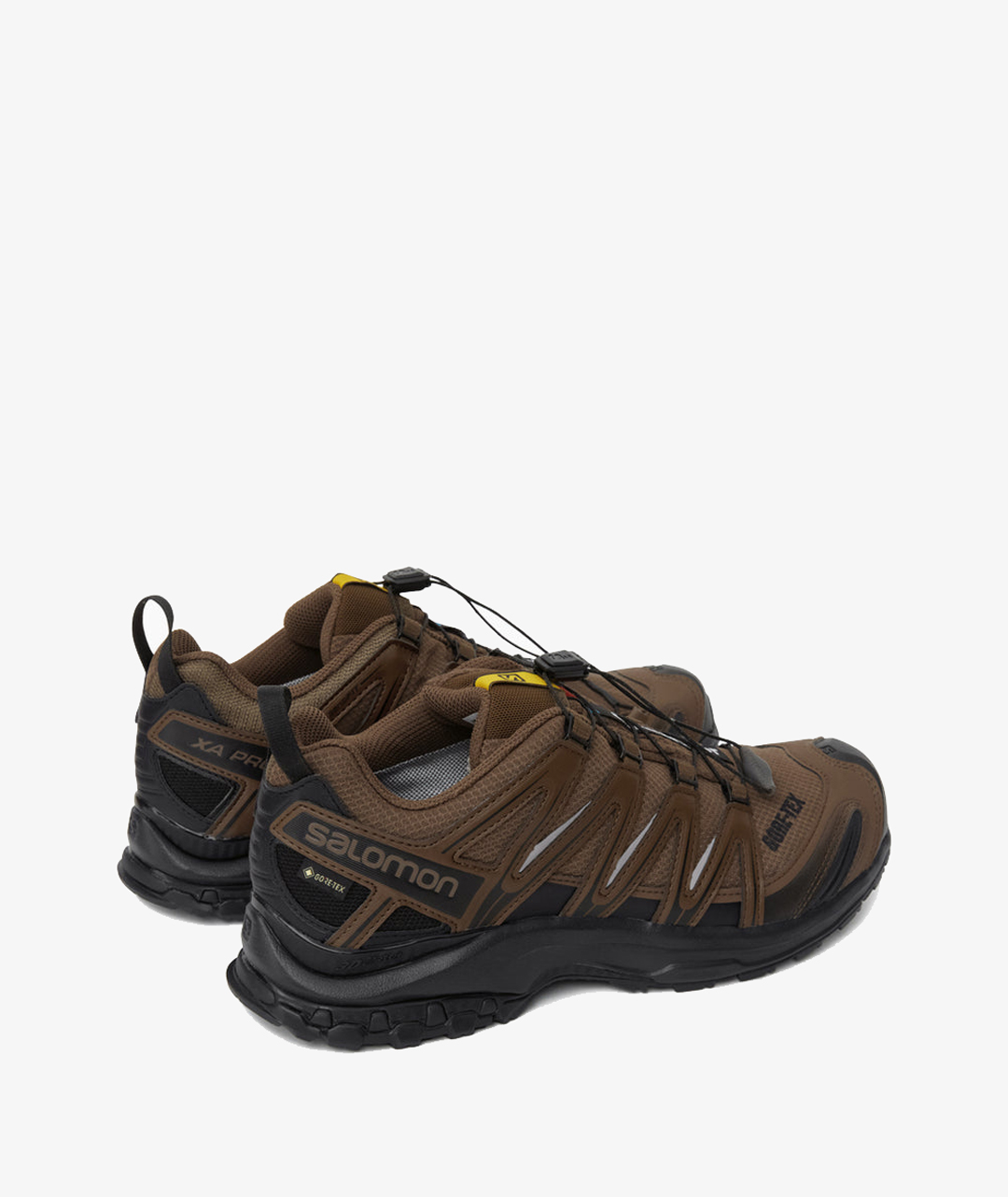 Salomon Wander W Gore-Tex